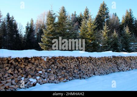 Winter hike between Krün and Wallgau, wood storage in snowy landscape, South Germany, Upper Bavaria, snow, winter, snowy, trees, Germany, Bavaria, Werdenfels, Stock Photo