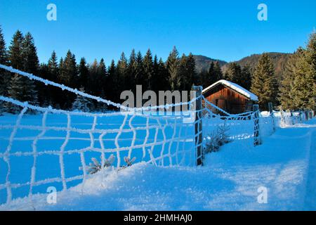 Winter hike between Krün and Wallgau, snow crystals enchant the dreamy winter landscape, fence, forest, southern Germany, Upper Bavaria, snow, winter, snowy, trees, Germany, Bavaria, Werdenfels, Krün Stock Photo