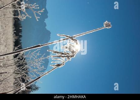 Winter hike on Barmsee near Krün Snow crystals enchant the dreamy winter landscape, in the background the Karwendel Mountains, backlit, southern Germany, Upper Bavaria, snow, winter, snowy, trees, Germany, Bavaria, Werdenfels, Stock Photo