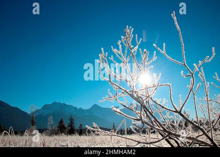 Winter hike on Barmsee near Krün Snow crystals enchant the dreamy winter landscape, in the background the Karwendel Mountains, backlit, southern Germany, Upper Bavaria, snow, winter, snowy, trees, Germany, Bavaria, Werdenfels, Stock Photo