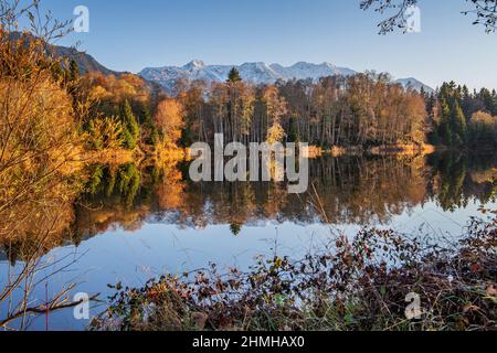 Autumn landscape with a small pond in the Murnauer Moos against Hohe Kisten 1922m in the Estergebirge, Murnau, Das Blaue Land, Upper Bavaria, Bavaria, Germany Stock Photo