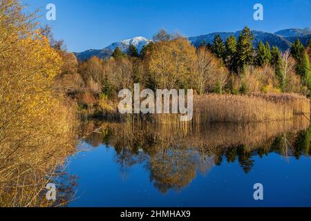 Autumn landscape with a small pond in the Murnauer Moos against Heimgarten 1791m, Murnau, Das Blaue Land, Upper Bavaria, Bavaria, Germany Stock Photo