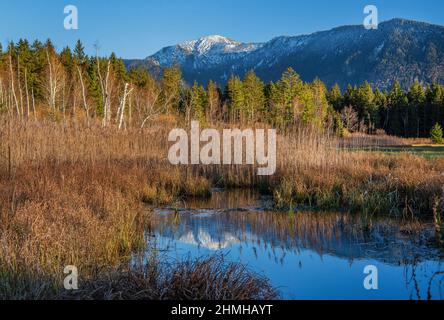 Autumn landscape with a small pond in the Murnauer Moos against Heimgarten 1791m, Murnau, Das Blaue Land, Upper Bavaria, Bavaria, Germany Stock Photo