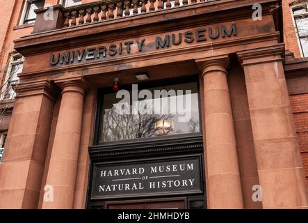 Cambridge, Massachusetts, USA - February 8, 2022: The Harvard Museum of Natural History is housed in the University Museum building. Stock Photo