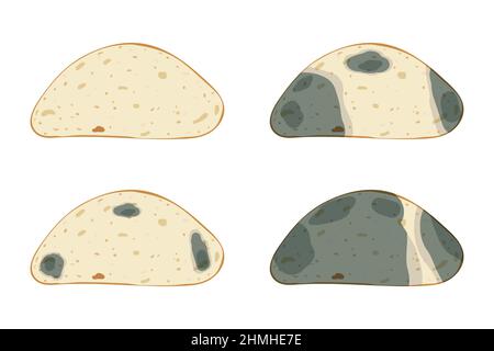 The mold on the bread, set isolated on white background Stock Vector