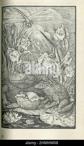 The Wild Swans (Danish: De vilde svaner) is a literary fairy tale by ...