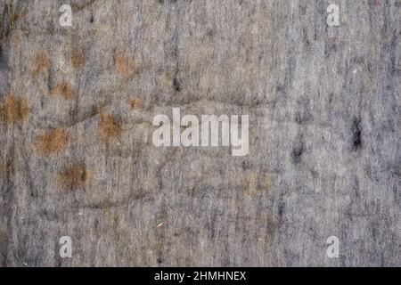 The texture of the old gray felt. Dirty stained fabric. Top view. Selective focus. Stock Photo