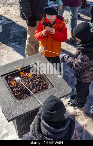 marshmallow on a stick being roasted over a camping fire Stock Photo