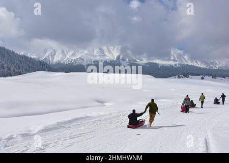 Gulmarg, India. 10th Feb, 2022. Indian tourists enjoy sledge ride through a snow covered field during a cloudy winter day at a famous ski-resort in Gulmarg. Gulmarg, situated in the foothills of the Himalayas, is regarded as one of the leading ski destinations in South Asia. Credit: SOPA Images Limited/Alamy Live News Stock Photo