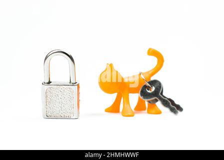 Pet adoption from shelter concept. Animal cat figurines with padlock and keys. Charity and help background photo, isolated on white Stock Photo
