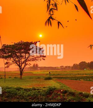 Dramatical colorful sunset in winter. This image was captured by me on January 31, 2022, from Kolatia, Bangladesh, South Asia Stock Photo