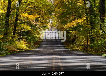 Paved road going through a forest, with yellow autumn leaves in full fall colors. Taken in Munising Michigan, in the upper Peninsula Stock Photo