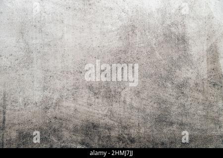Mold on a white wall, background, copy space Stock Photo