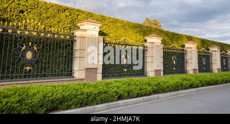 Green thuja bushes are trimmed into geometric shapes. Road wrought iron fence and high quality asphalt. Modern road in an elite cottage town. Stock Photo