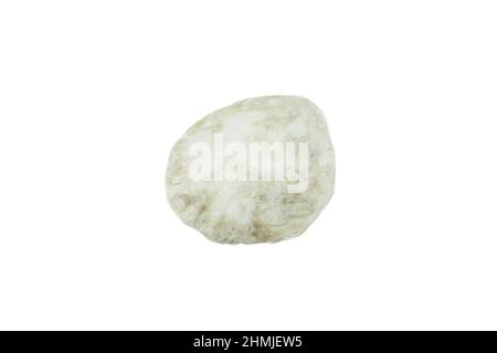Old scallops, Sea shell isolated on white background. Shell, Seashell or Conch isolated on white Background as Decor or Souvenir. Stock Photo