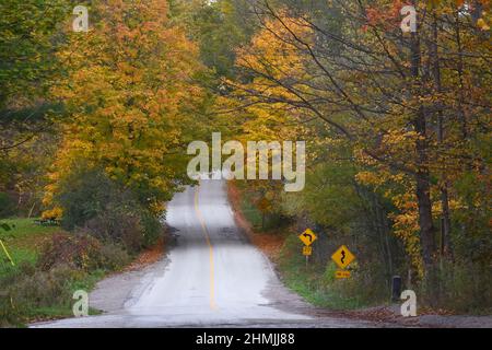 Road in the forest - fall colors Stock Photo