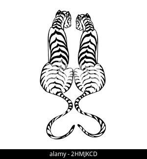 Two tigers in love, black and white linear ink drawing.  Stock Vector