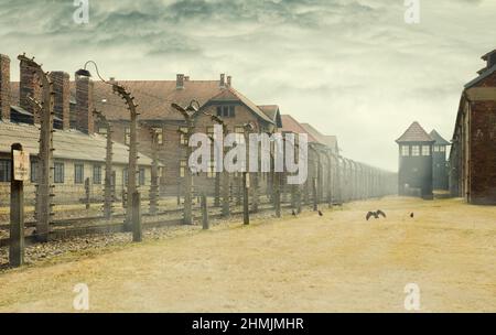 AUSCHWITZ, POLAND - March 30 2012 Holocaust Memorial Museum. Barbed wire around a concentration camp with crows and shed guard in the background. Stock Photo