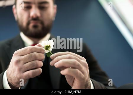 A man sits in a jacket holding a flower in his hands and picks off the petals from it. Divination. Man's hands. Romantic. Stock Photo