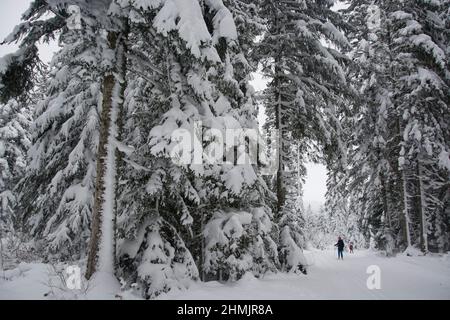 Langläufer in winterlicher Märchenlandschaft im Waadtländer Jura Stock Photo