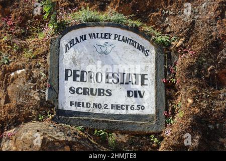 Pedro Estate tea plantation sign at Nuwara Eliya in Sri Lanka Stock Photo