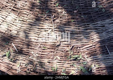 abstract image, background, texture, closeup. wicker basket. vine Stock Photo