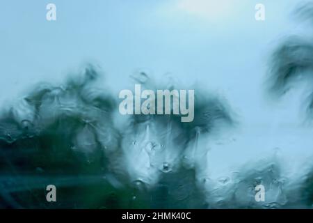 Blurred background with tropical palm trees against the sky on a rainy day in the tropics Stock Photo