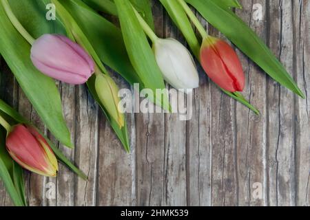 Top view of colorful tulips on a wooden surface Stock Photo