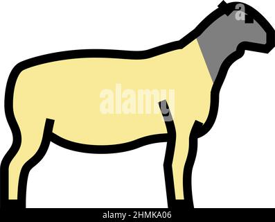 dorper sheep color icon vector illustration Stock Vector