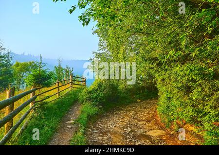 The narrow curved path leads through the forest to the mountains of Chornohora Range, Dzembronia village, Carpathians, Ukraine Stock Photo