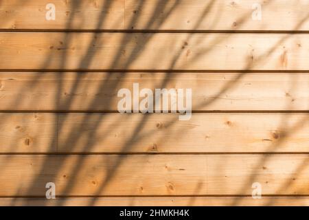 The facade of the house is made of new horizontal wooden boards. Wooden texture. With sunlight and shadows Stock Photo