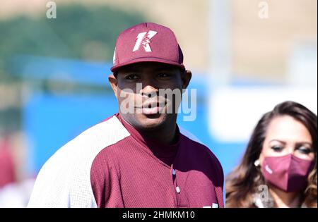 Former MLB outfielder Puig signs with South Korean club