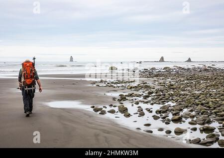 A man wearing a backpack hiking on the Olympic Coast of Washington State, near the Hoh river delta. Stock Photo