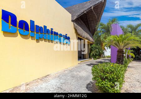 Cozumel, Quintana Roo, Mexico, 20 September, 2020: Dolphinarium Dolphinaris Blue Cozumel, Marine tourist attraction allowing visitors to feed, pet and swim with trained dolphins in a tropical setting Stock Photo