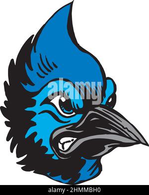 Line art Blue jay bird logo design vector illustration Stock Vector Image &  Art - Alamy