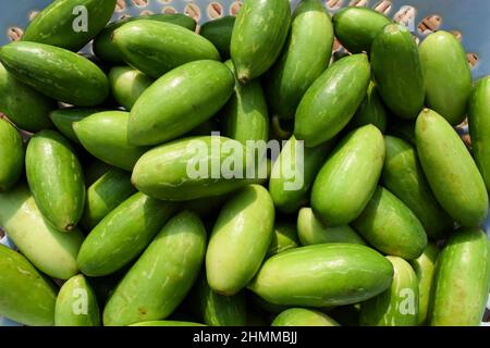 Ivy gourd or scarlet gourds known as Tindora or Ghola, green vegetables from tropical climate Indian Asian vegetables top view. Vegetables in basket Stock Photo