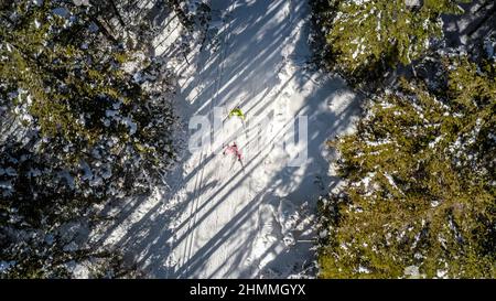 Two cross country skiers training in skate ski technique, on the snow forest trail, aerial top down drone shot. Stock Photo