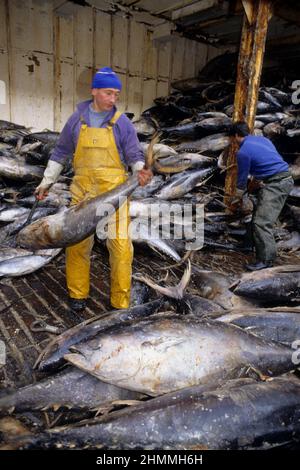 peche au thon ocean atlantique Stock Photo