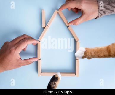 Top view photo of man, woman and cat hands holding house shaped wooden bricks. Concept of family and  cat or pet insurance. Stock Photo