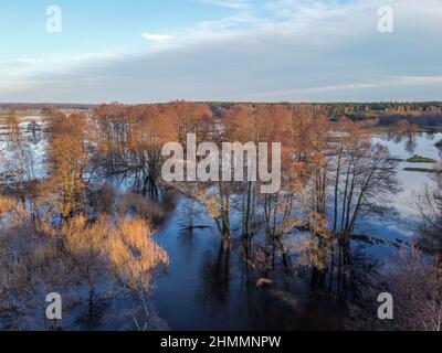 Floods and inundations during spring thaws from a small river. Stock Photo