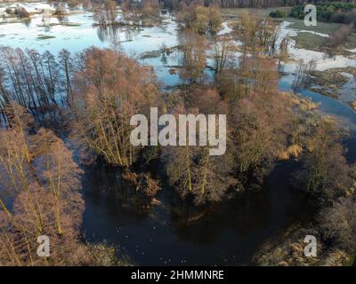 Floods and inundations during spring thaws from a small river. Stock Photo