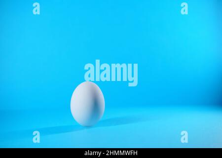 white egg on a blue background Stock Photo