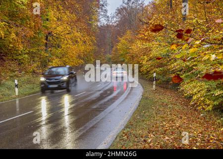 wet country road through an autumn forest in the rain, Germany, Bavaria, Oberbayern, Upper Bavaria Stock Photo