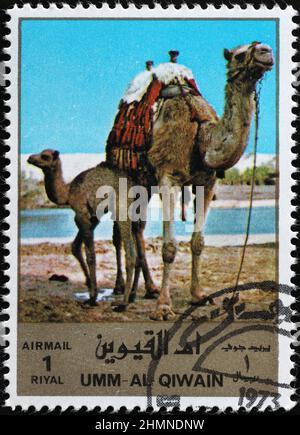 Dromedary with baby on postage stamp Stock Photo