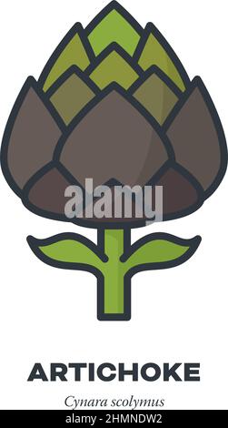 Artichoke bud vegetable icon, outline with color fill style vector illustration Stock Vector