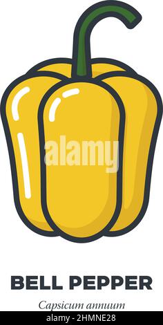 Yellow bell pepper vegetable icon, outline with color fill style vector illustration Stock Vector