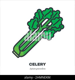 Celery stalks vegetable icon, outline with color fill style vector illustration Stock Vector