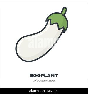 White eggplant vegetable icon, outline with color fill style vector illustration Stock Vector