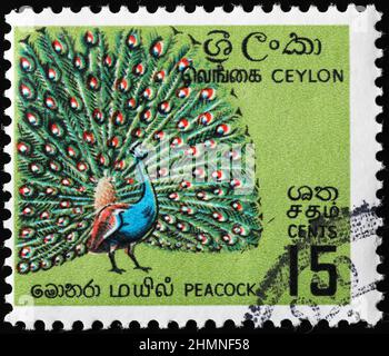 Peacock in display on sri lankan postage stamp Stock Photo