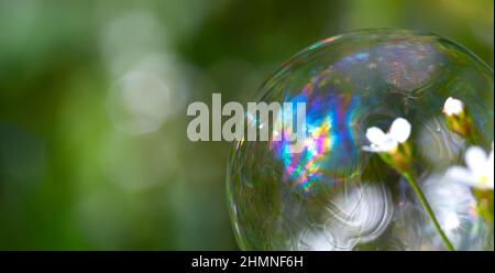 Multicolored soap bubble on green grass background with selective blurred focus. Summer holiday, ecology, childhood concept. Copy space for the text. Stock Photo